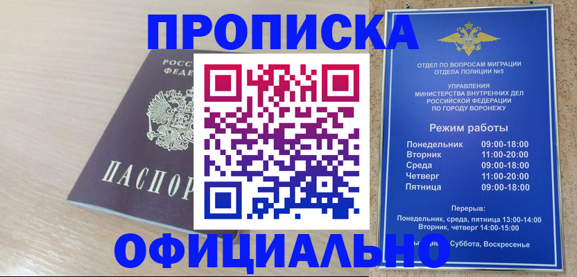 прописка в квартире в Ермолино